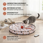 Pawsera – Interactive Hide & Seek Cat Toy for Smart Play