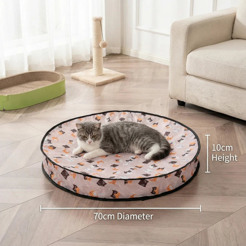 Pawsera – Interactive Hide & Seek Cat Toy for Smart Play