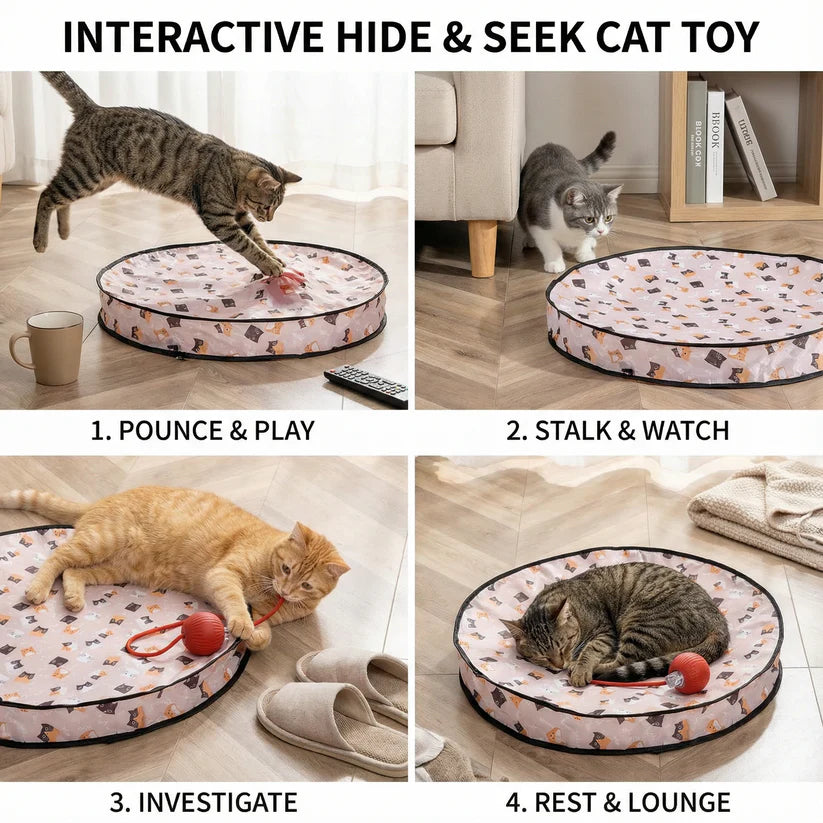Pawsera – Interactive Hide & Seek Cat Toy for Smart Play